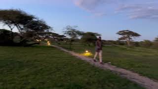 Review Kontik Camp  Ndutu Southern Serengeti [upl. by Gavini455]