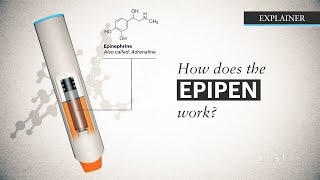 How does the EpiPen work [upl. by Frederica24]