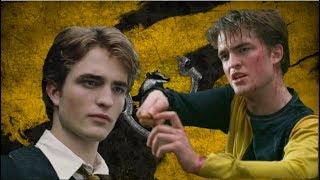 Why Was Cedric Diggory Sorted Into Hufflepuff [upl. by Riobard774]