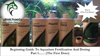 Beginning Guide To Aquarium Fertilization And DosingPart 1  The First quotDosequot [upl. by Chickie]