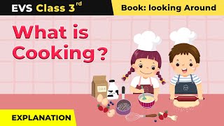 Class 3 NCERT EVS Chapter 10  What is Cooking  Explanation [upl. by Pride]