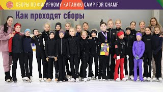 Сборы по фигурному катанию CAMP for CHAMP [upl. by Jori672]