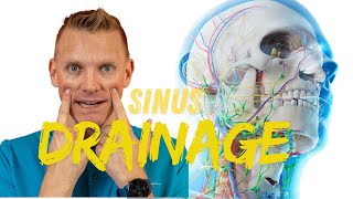 Warning This Sinus Drainage Technique Could Change Your Life [upl. by Ion586]