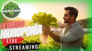 Tu Primer Cultivo Hidropónico en Vivo Aprende y Cosecha desde Casa [upl. by Mulligan]