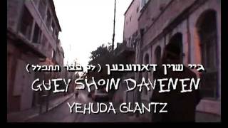 Yehuda Glantz  יהודה גלאנץ  Guey Shoin Davenen [upl. by Elleiand858]