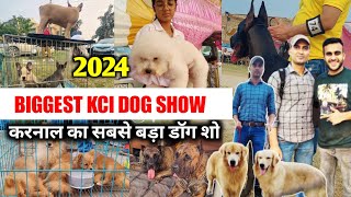 Karnal Biggest 🔥 kci dog show   Wholesale outside dog market  karnal का सबसे बड़ा डॉग शो [upl. by Nbi]