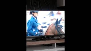 Katrin Eckermann CHIO Aachen 2014 Unfall [upl. by Halilak]