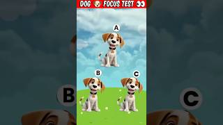 Focus test for genius 🧠🤯 Find the Dog focustest cartoon dog [upl. by Toor]