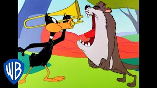 Looney Tunes  Daffy vs Taz  Classic Cartoon  WB Kids [upl. by Divd]