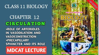 ROLE OF ARTERIOLE AND PRE CAPILLARY SPHINCTER IN VASOCONSTRICTION AND VASODILATION  11 BOLOGY [upl. by Naj]