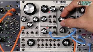 Pittsburgh Lifeforms Double Helix Oscillator Demo [upl. by Opiak]