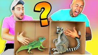 WHATS IN THE BOX CHALLENGE  ANIMALS FUNNY REACTION [upl. by Yemaj]