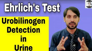 Ehrlichs Test  Urobilinogen Detection in Urine [upl. by Greta422]