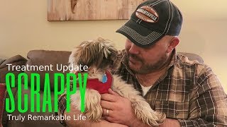 SCRAPPY Lymphoma Update  Chemo Treatment 2  Truly Remarkable Life [upl. by Bate]