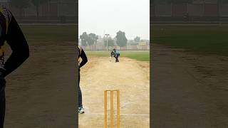 THE WALL OF PAKARABshortvideotrendingcricketlovercricketcardiosevengerssevengerscricketsports [upl. by Enyr418]