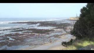 Tsunami March 11 2011 at Bowling Ball Beach Mendocino County [upl. by Sorgalim]