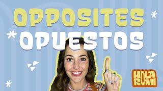 Learn about opposites in Spanish  Opuestos para niños  Toddler learning  Aprende español [upl. by Ahsikcin]