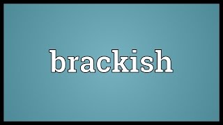 Brackish Meaning [upl. by Netsrak676]