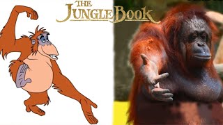 Jungle Book Characters In Real Life  The Jungle Book Characters [upl. by Cordell]