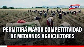 🔴🔵Nueva ley agraria permitirá mayor competitividad de medianos agricultores según Jaime Mujica [upl. by Aramaj920]