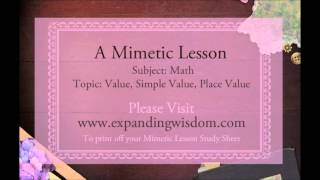 Mimetic Lesson 1 Math Value Place Value and Simple Value [upl. by Ailemak745]