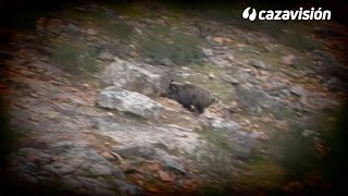 Montería en Cerro del Águila ¡VÍDEO COMPLETO [upl. by Lau848]