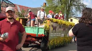 Rapsblütenfest 2023 auf Fehmarn  der Umzug [upl. by Ziana]