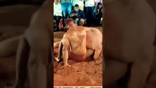 🌟 Pritpal Phagwara Star 🌟 vs Sikander Sekh Super Power 💥 MustWatch tranding viral fight [upl. by Drexler]