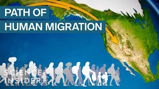 Map Shows How Humans Migrated Across The Globe [upl. by Adnaval]