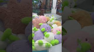 COLORFUL TEDIBEAR AMAZING asmr toys satisfyingtoys subscribe shorts [upl. by Christy]