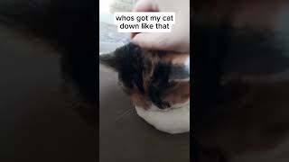 she got catfished or smth 💀 pet viralvideo [upl. by Atiraj]