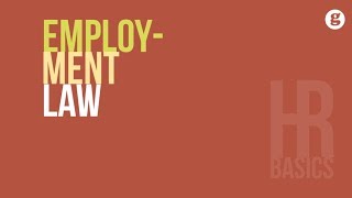 HR Basics Employment Law [upl. by Corene626]