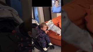 Cat Vs Kid Pick One funnyvideo2024 funnycatvideos catshorts kidssongs kidsvideos funnyshorts [upl. by Auka]