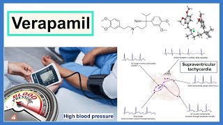 verapamil [upl. by Aciretahs288]