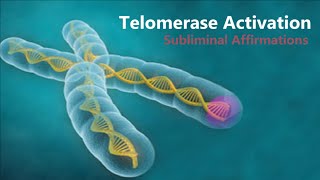 𝄞 Telomerase Activation  Telomere Rejuvenation for Eternal Youth V21  Classical Music [upl. by Palmira]