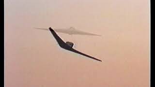 HORTEN PUL10 Version 2013The Blended Wing Body or Flying Wing advantage [upl. by Ardnwahsal]