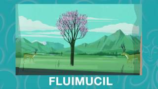 Fluimucil Spot 2017 [upl. by Nwahsek794]