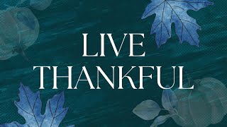 Live Thankful  Dr Steve Ball [upl. by Olfe273]