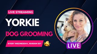 Dog Grooming With Elizabeth Jenn is live [upl. by Wesle799]