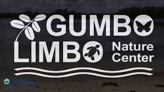 Gumbo Limbos Intracoastal Highlights [upl. by Stubstad]