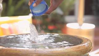 How to Keep Garden Fountain Water Clean  Landscaping Tips [upl. by Ahselrac]