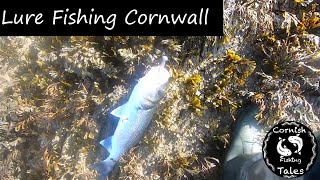 Lure Fishing Cornwall  Back At The Mega Spot Fishing For Bass [upl. by Aerdnna82]