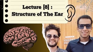 CNS Anatomy Lecture 8 Structure Of The Ear Dr Ibrahiem Antar [upl. by Barbabra625]