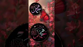 Beautiful Islamic 🤩 Video shorts islamic shortsvideo makkah youtubeshorts allah shortvideo [upl. by Hillari]