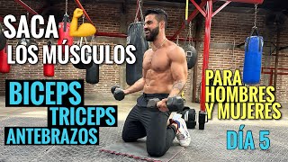 Ejercicios de BRAZOS entrena tus Bíceps Tríceps y Antebrazos 25 Min Rutina para SACAR LOS MUSCULOS [upl. by Laniger470]