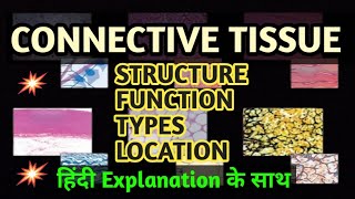 CONNECTIVE TISSUE  Structure  Types  Location  Hindi  English दोनों में  tissue class9 neet [upl. by Ordnazil148]