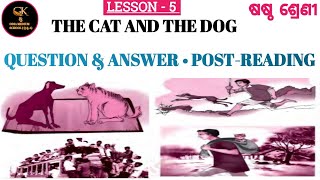 The Cat And The Dog Class 6 English Question Answer Lesson 5 Post Reading ODIA MEDIUM SCHOOL [upl. by Nellac]