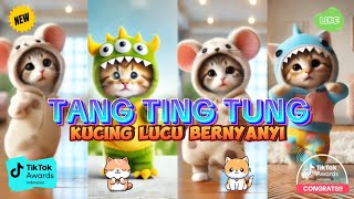 TANG TING TUNG VERSI KUCING LUCU VIDEO BARU [upl. by Anizor]