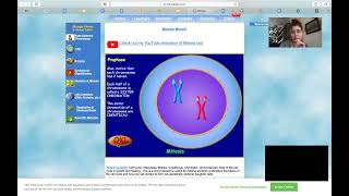 Homework Help BioMan Mitosis Mover [upl. by Mag259]