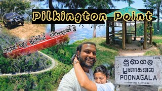 Pilkington Point  Poonagala🇱🇰⛰  කඳුකර කුරු අලින්ගේ නවාතැන 🐘 vlog28 [upl. by Sindee]